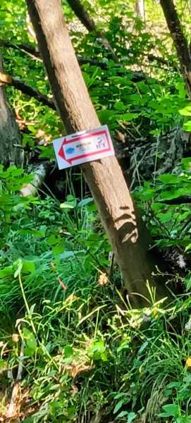 WhatsApp-Image-2023-07-22-at-18.56.09-1