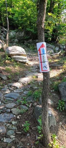 WhatsApp-Image-2023-07-22-at-18.56.09